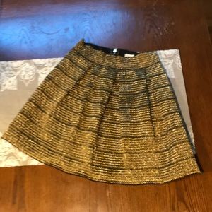 Metallic Skirt